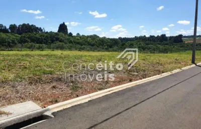 Terreno em condomínio fechado à venda no Contorno, Ponta Grossa 