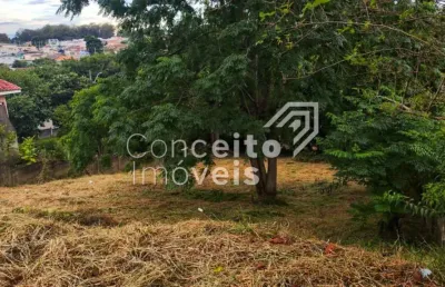 Terreno à venda no Orfãs, Ponta Grossa 