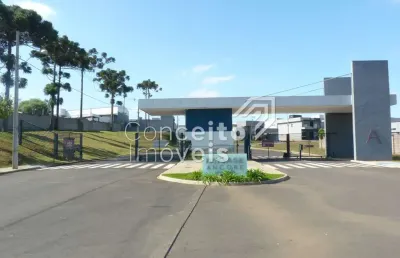 Casa em condomínio fechado com 3 quartos para alugar no Cará-cará, Ponta Grossa 