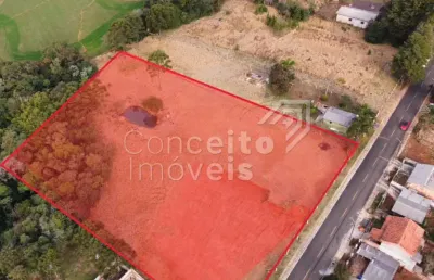 Terreno comercial para alugar no Chapada, Ponta Grossa 