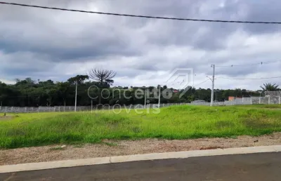 Terreno em condomínio fechado à venda no Neves, Ponta Grossa 