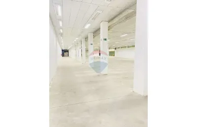Barracão / Galpão / Depósito para alugar na Avenida Francisco Rodrigues, 479, Vila Constança, São Paulo