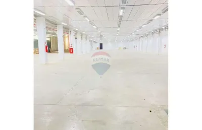 Barracão / Galpão / Depósito para alugar na Avenida Francisco Rodrigues, 479, Jaçanã, São Paulo