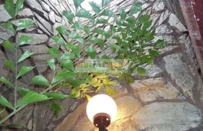 Casa com 4 dormitórios à venda, 300 m² por r$ 585.000 - jardim alexandre balbo - ribeirão preto/sp