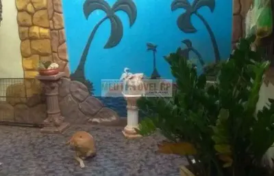 Casa com salão comercial rua principal jd presidente dutra ii