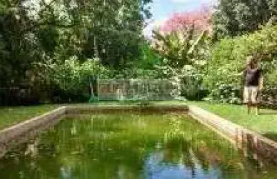 Chácara com 4 dormitórios à venda, 13000 m² por r$ 1.100.000,00 - conjunto habitacional jardim das palmeiras - ribeirão preto/sp