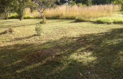Smpw 09 - excelente terreno com 20.000m2, totalmente plano