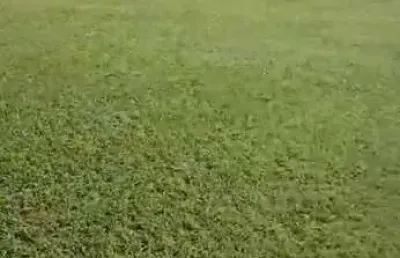 Smpw 11 -  terreno plano com 20.000m2, casa de apoio e piscina !