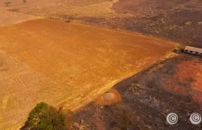 Ponte alta - oportunidade,  terreno plano, à beira da rodovia !