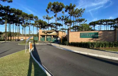 Casa 370m² 4 suítes no bairro piniville (condomínio pineland)