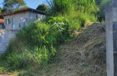 Terreno à venda na Rua Armando Constantino, 000, Vila Mathias, Mogi das Cruzes