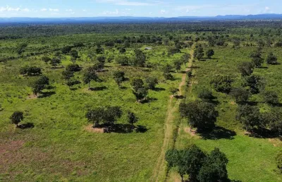 Fazenda 845 hectares | dupla aptidão - 26km de cuiabá mt*