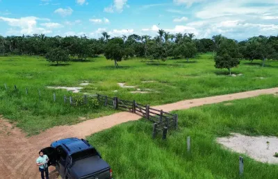 Fazenda com 1 sala à venda na Fazenda 185 Hectares - 45km De Cuiabá Mt, Zona Rural, Santo Antônio do Leverger