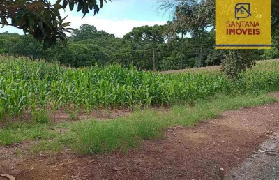 Terreno à venda, 12100 m² por r$ 800.000,00 - rondinha - campo largo/pr