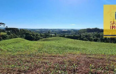 Chácara à venda, 20639 m² por r$ 350.000,00 - rodeiozinho - balsa nova/pr