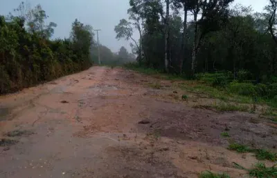 Chácara com 1 dormitório à venda, 114720 m² por r$ 370.000,00 - são silvestre - campo largo/pr
