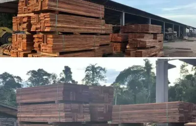 Fazenda com 101 mil hectares no estado de mato grosso