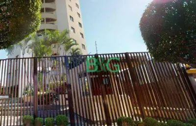 Apartamento com 2 dormitórios à venda, 62 m² por r$ 450.000,00 - vila matilde - são paulo/sp