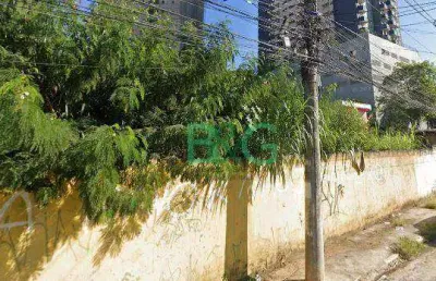 Terreno, 1600 m² - venda por r$ 5.750.000 ou aluguel por r$ 20.000/mês - vila rosália - guarulhos/sp