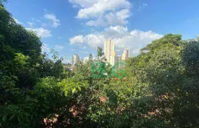 Apartamento com 2 dormitórios à venda, 64 m² por r$ 330.000 - parque mandaqui - são paulo/sp