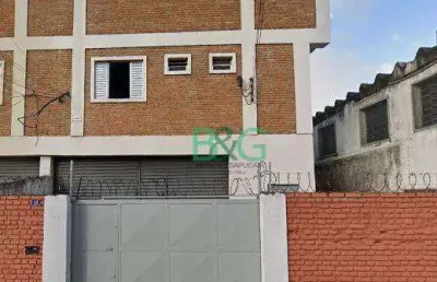 Galpão para alugar, 250 m² por r$ 9.000/mês - vila endres - guarulhos/sp