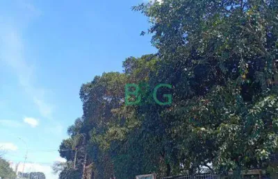 Galpão à venda, 5000 m² por r$ 20.000.000,00 - cidade industrial satélite de são paulo - guarulhos/sp