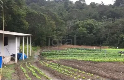 Sitio em piracaia com 8.000m²  r$ 240.000,00 imóvel com plantação, edificação simples não finalizada