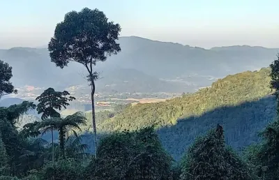 Chácara / sítio à venda na alto são bernardo, zona rural, rio dos cedros por r$ 300.000