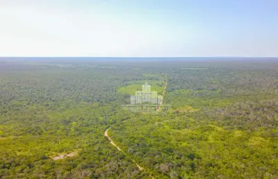 Chácara / sítio à venda na avenida claudiomiro vizoto, 779, centro, avelino lopes por r$ 7.500.000