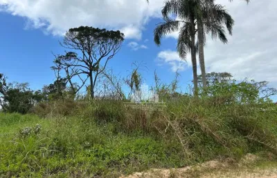 Terreno à venda na loteamento jardim curitiba, praia do ervino, são francisco do sul, 300 m2 por r$ 170.000