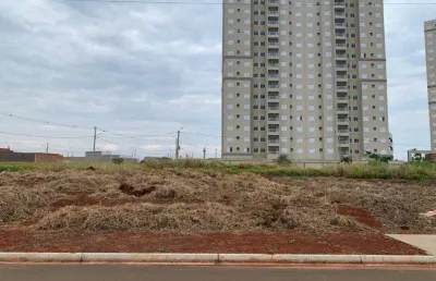 Terreno à venda em santa bárbara d'oeste, dodson, com 250 m²
