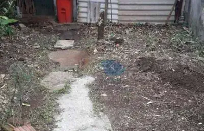 Terreno no bairro do ipiranga 6 x 76 mts em excelente localização a 300 metros do metrô linha verde,oportunidade,ótimo para investidores.