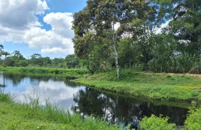 Chácara / sítio com 3 quartos à venda em Colonia Cambará, Matinhos 