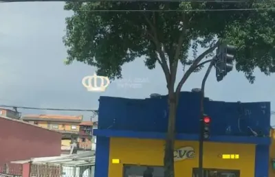 Oportunidade para investimento: ponto comercial e casas para renda!
