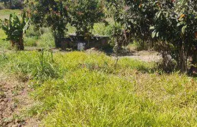 Terreno à venda, 1000 m² por r$ 90.000 - tataúba - caçapava/sp