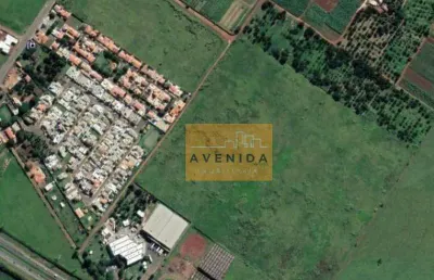 Terreno à venda na Avenida Alexandre Cazelatto, Betel, Paulínia