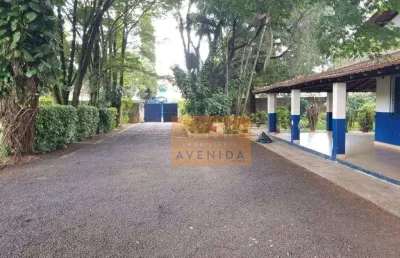 Chácara à venda, 4650 m² por r$ 5.200.000,00 - santa terezinha - paulínia/sp