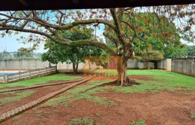 Chácara com 1 dormitório à venda, 2000 m² por r$ 1.000.000,00 - joão aranha - paulínia/sp