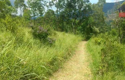 Terreno à venda, 3600 m² por r$ 195.000,00 - luiz fagundes - mairiporã/sp