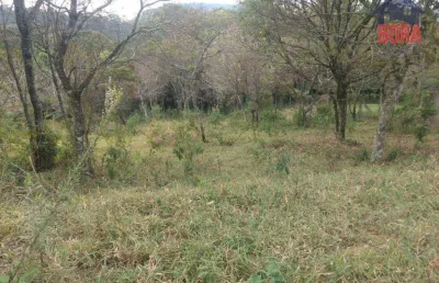 Terreno à venda, 1770 m² por r$ 200.000,00 - olho d'água - mairiporã/sp
