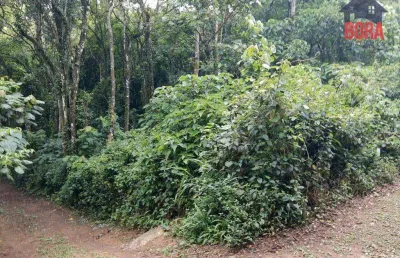 Terreno à venda, 2800 m² por r$ 260.000 - parque germânia - mairiporã/sp