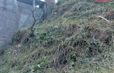 Terreno à venda, 338 m² por r$ 65.000,00 - jardim carpi - mairiporã/sp