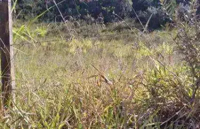 Terreno à venda, 1000 m² - capoavinha - mairiporã/sp