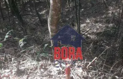 Terreno à venda, 1522 m² por r$ 249.000,00 - parque petrópolis - mairiporã/sp