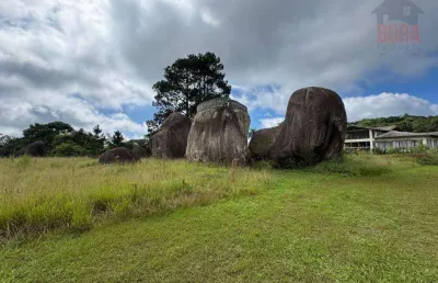Terreno à venda, 2274 m² por r$ 370.000 - olho d'água - mairiporã/sp