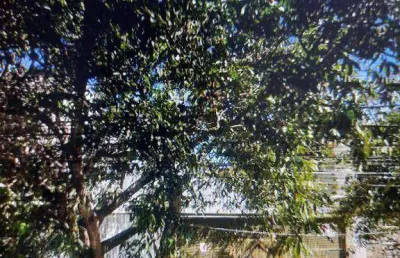 Terreno à venda na Rua Pinheiro Guimarães, Parque da Vila Prudente, São Paulo