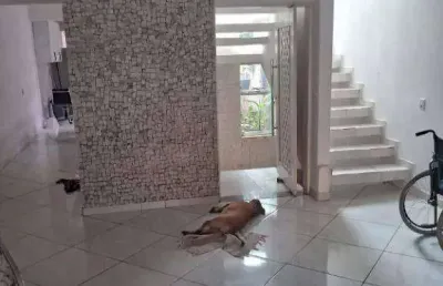 Sobrado com 3 dormitórios, 280 m² - venda por r$ 1.270.000,00 ou aluguel por r$ 4.700,00/mês - cidade líder - são paulo/sp