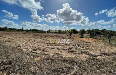 Chácara à venda, 1000 m² por r$ 35.000,00 - lagoa do bonfim - nísia floresta/rn