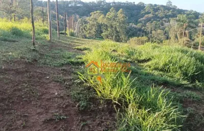 Terreno à venda, 1320 m² por r$ 106.000,00 - tanque grande - guarulhos/sp
