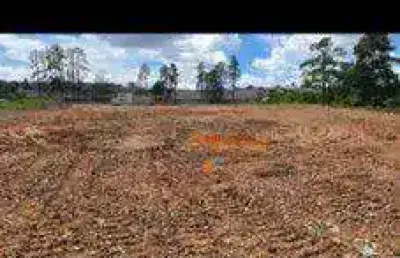 Terreno para alugar, 13000 m² por r$ 27.500,00/mês - parque santos dumont - guarulhos/sp